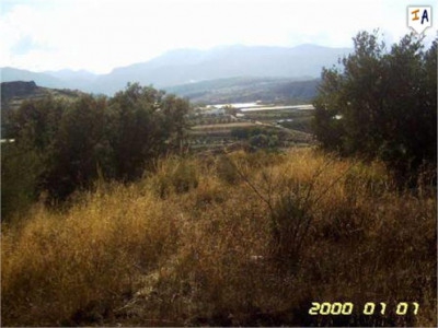Arenas Del Rey property: Land for sale in Arenas Del Rey, Spain 282306