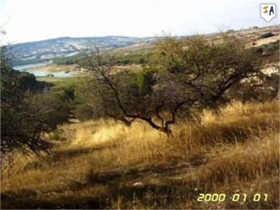 Arenas Del Rey property: Land with bedroom in Arenas Del Rey, Spain 282306