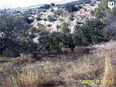Arenas Del Rey property: Land in Granada for sale 282306