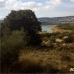 Arenas Del Rey property: Granada, Spain Land 282306
