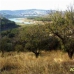 Arenas Del Rey property: bedroom Land in Arenas Del Rey, Spain 282306