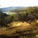 Arenas Del Rey property: bedroom Land in Granada 282306