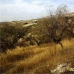 Arenas Del Rey property: Land in Granada 282306