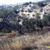 Arenas Del Rey property: Land in Arenas Del Rey 282306