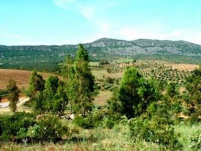 Alange property: Finca for sale in Alange 282354