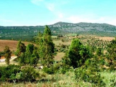 Alange property: Finca for sale in Alange 282354