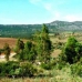 Alange property: Badajoz, Spain Finca 282354