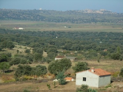 Finca for sale in town, Caceres 282355