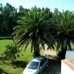 Aljucen property: Finca in Aljucen 282363