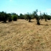 Madronera property: Madronera, Spain Finca 282368