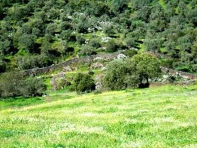 Madronera property: Land with bedroom in Madronera, Spain 282380