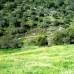 Madronera property: bedroom Land in Caceres 282380