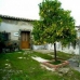 San Vicente De Alcantara property: San Vicente De Alcantara, Spain Finca 282382