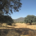 Herguijuela property: Land for sale in Herguijuela 282389