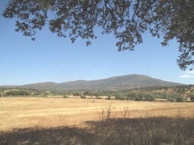 Herguijuela&nbsp;property:&nbsp;Land&nbsp;for&nbsp;sale&nbsp;in&nbsp;Herguijuela,&nbsp;Spain&nbsp;282389