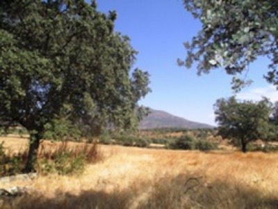 Herguijuela&nbsp;property:&nbsp;Land&nbsp;with&nbsp;bedroom&nbsp;in&nbsp;Herguijuela,&nbsp;Spain&nbsp;282389