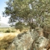Herguijuela&nbsp;property:&nbsp;bedroom&nbsp;Land&nbsp;in&nbsp;Herguijuela,&nbsp;Spain&nbsp;282389