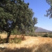 Herguijuela&nbsp;property:&nbsp;bedroom&nbsp;Land&nbsp;in&nbsp;Caceres&nbsp;282389