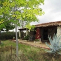 Finca for sale in town 282390