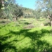 Valverde Del Fresno property: Finca in Valverde Del Fresno 282391