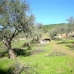 Valverde Del Fresno property: Valverde Del Fresno Finca, Spain 282391