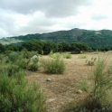 Arroyomolinos property: Land for sale in Arroyomolinos 282395