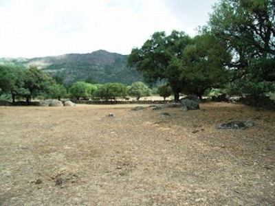 Arroyomolinos property: Land for sale in Arroyomolinos, Spain 282395