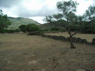 Arroyomolinos property: Land for sale in Arroyomolinos, Caceres 282395