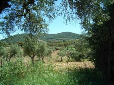 Alcuescar property: Caceres Finca 282399