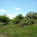 Alcuescar property: Caceres Finca, Spain 282399