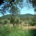 Alcuescar property: Beautiful Finca for sale in Alcuescar 282399