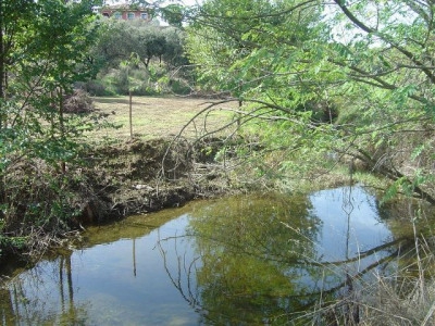 Madronera property: Finca for sale in Madronera, Caceres 282406