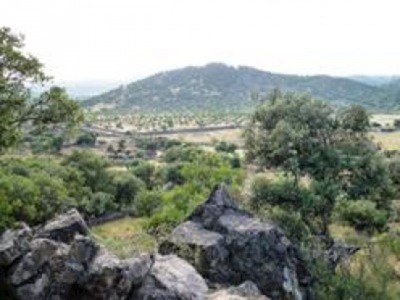 Almoharin property: Land for sale in Almoharin, Spain 282408