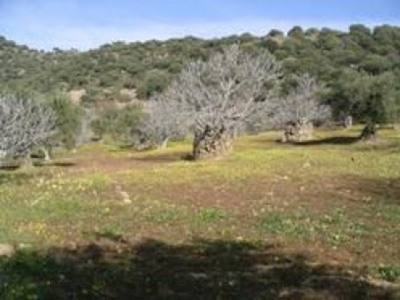 Almoharin property: Land with bedroom in Almoharin, Spain 282408