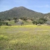 Almoharin property: Caceres, Spain Land 282408