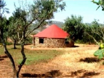 Acena La Borrega property: Finca for sale in Acena La Borrega 282411