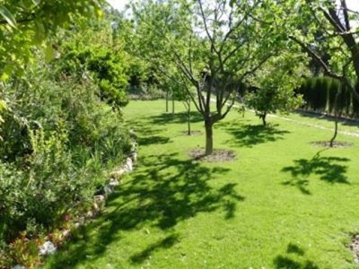 town Finca 282418