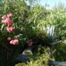 Caceres Finca, Spain 282418