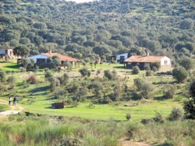 Madronera&nbsp;property:&nbsp;Commercial&nbsp;for&nbsp;sale&nbsp;in&nbsp;Madronera&nbsp;282422