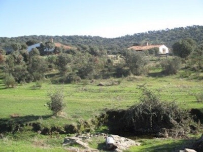 Madronera&nbsp;property:&nbsp;Caceres&nbsp;property&nbsp;|&nbsp;9+&nbsp;bedroom&nbsp;Commercial&nbsp;282422