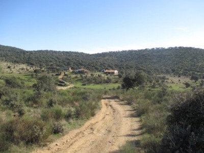 Madronera&nbsp;property:&nbsp;Madronera,&nbsp;Spain&nbsp;|&nbsp;Commercial&nbsp;for&nbsp;sale&nbsp;282422