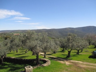 Herguijuela property: Finca in Caceres for sale 282423