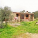 Montanchez property: Finca for sale in Montanchez 282424