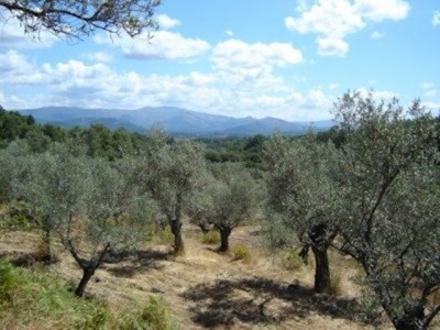 Land for sale in town, Spain 282425