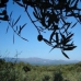 bedroom Land in Caceres 282425