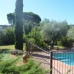 Beautiful Finca for sale in Caceres 282427