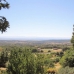 Jarandilla&nbsp;property:&nbsp;Jarandilla,&nbsp;Spain&nbsp;Finca&nbsp;282428