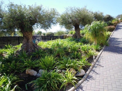 Sotogrande property: Villa in Cadiz for sale 282475