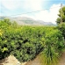 Orba property: Orba Villa, Spain 282488