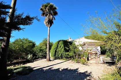 Jalon property: Villa in Alicante for sale 282492